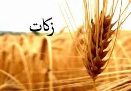 پرداخت زکات در آذربایجان‌شرقی ۴۷‌درصد افزایش یافت
