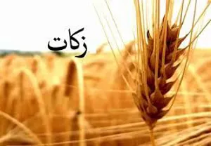 پرداخت زکات در آذربایجان‌شرقی ۴۷‌درصد افزایش یافت