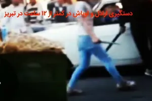 دستگیری اراذل و اوباش سابقه‌دار در تبریز