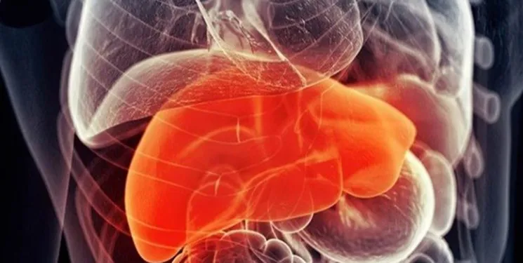 با وجود افتتاح مرکز پیوند اعضا در تبریز، بیماران پیوندی به شیراز می روند