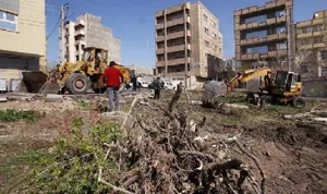 مسئولان شهری به تخریب فضای سبز حساس باشند