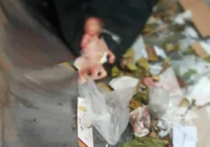 جزئیات کشف جسد جنین ۶ ماهه در تبریز