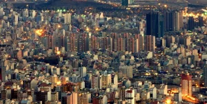 چه خبر از وعده یک میلیون نهال شهردار؟ / آمار دادن کنتور نمی اندازد!