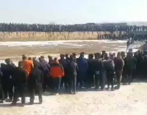 فرماندار اسکو: با برگزارکنندگان برنامه جنگ سگ‌ها برخورد می‌شود