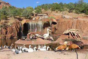 مجموعه باغ پرندگان تفرجگاه عینالی تبریز تا اطلاع ثانوی تعطیل است