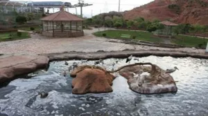 بازگشایی باغ‌پرندگان عینالی ‌تبریز