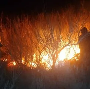 مهار آتش‌سوزی در تالاب قره‌قشلاق بناب