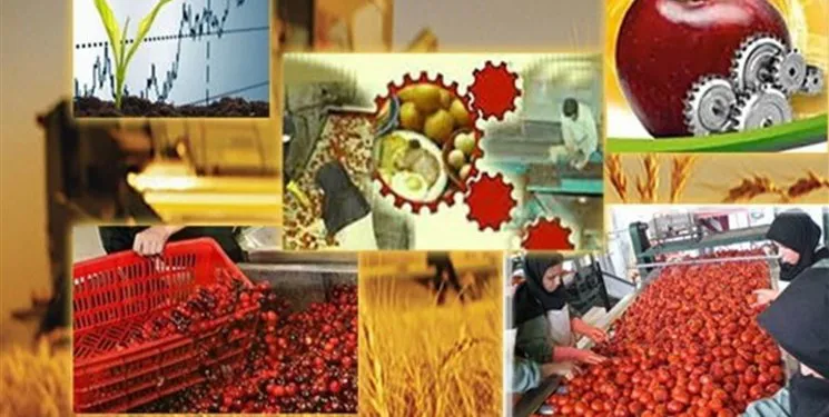 ضرورت ایجاد صنایع تبدیلی جدید و های تک با توجه به ذائقه مردم / برخورد با تغییر کاربری اراضی کشاورزی