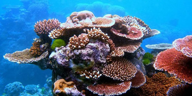 ایجاد مراکز گردشگری شیلاتی در شهرستان های جلفا و هشترود