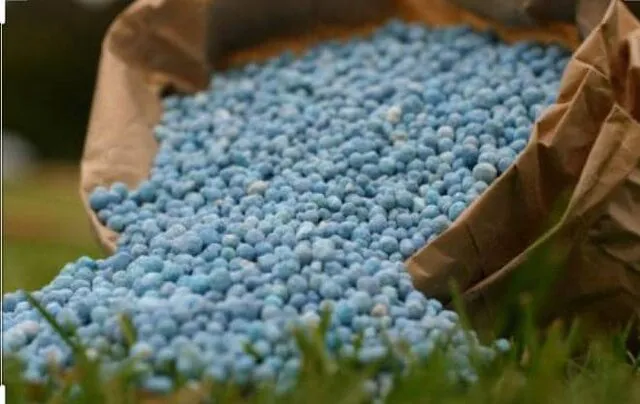 کشف ۵۳۳ تن کود قاچاق در آذربایجان شرقی طی سال ۹۹