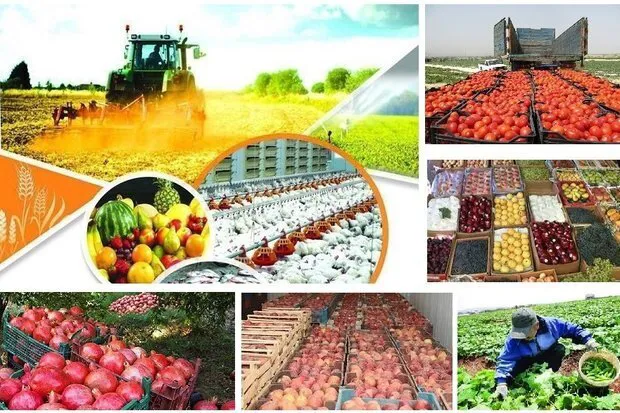 ایجاد شهرک صنعتی صنایع تبدیلی و غذایی در بناب