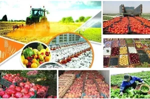 ایجاد شهرک صنعتی صنایع تبدیلی و غذایی در بناب