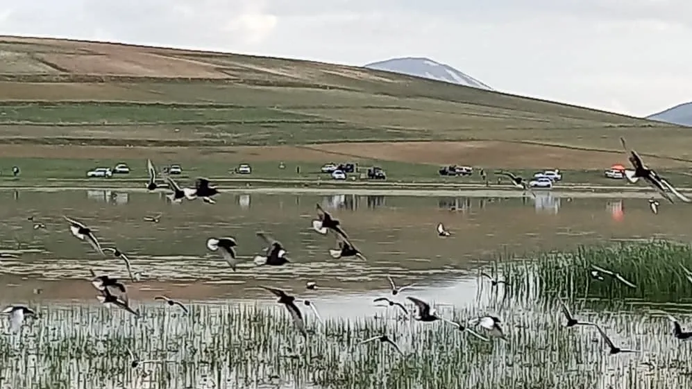 حجم آب تالاب بین المللی «قوری گول» کاهش دارد