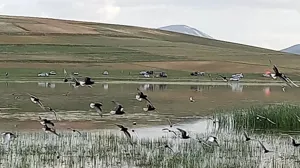 حجم آب تالاب بین المللی «قوری گول» کاهش دارد