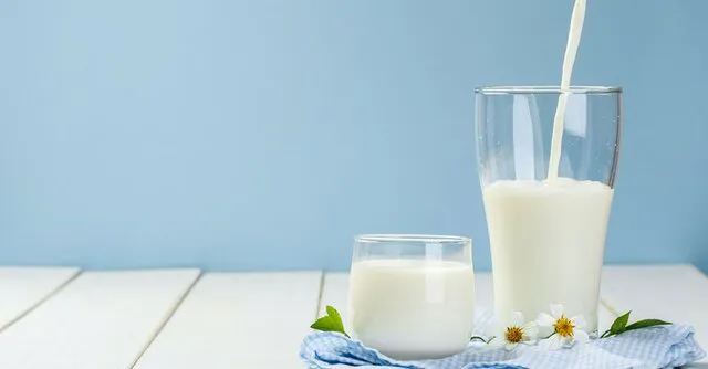 پیش بینی تولید ۶۱۰ هزار تن شیر در آذربایجان شرقی طی سالجاری