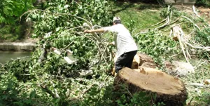 دستگیری متخلفان قطع اشجار در حوزه تالاب \"قره قشلاق\"