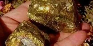 حفاری و برداشت‌های غیرمجاز در معدن طلای اندریان !