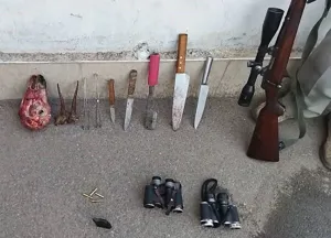 شکارچیان غیرمجاز در پناهگاه حیات وحش کیامکی دستگیر شدند