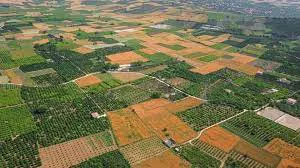 جوابیه ای بر؛ گزارش خلاف واقع از سوی مدیر عامل و رئیس هیات مدیره شرکت کشت وصنعت مغان