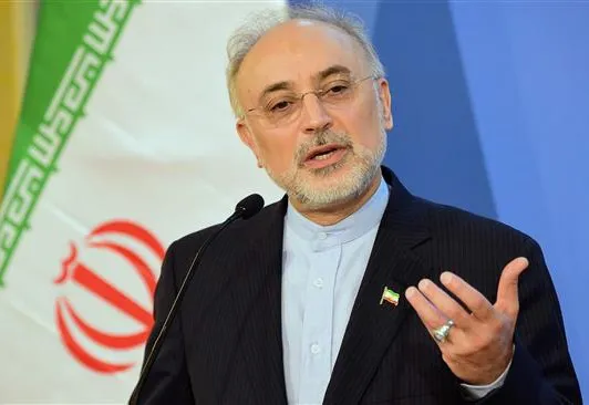 برجام معیوب شده را قبول نداریم/ طرح‌هایی که داریم خلاف برجام نیست/غرب نمی‌خواهد ما از ظرفیت‌های هسته‌ای استفاده کنیم | توضیح در مورد دستورالعمل رئیس‌جمهور