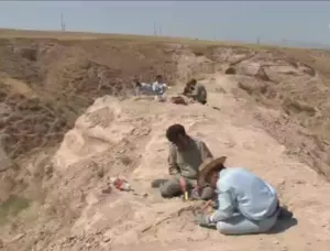 فسیل های ۹ میلیون ساله در مراغه کشف شد