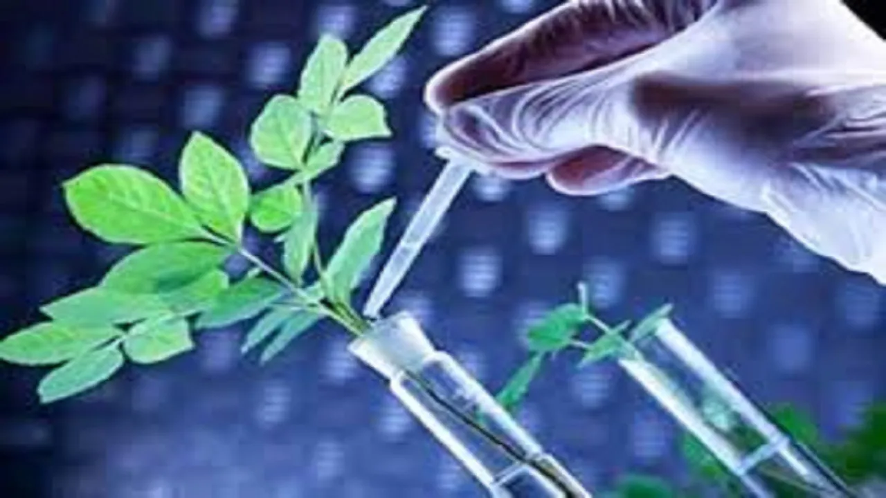 تسریع تولید محصولات گیاهی با کاهش زمان طول دوره‌ رشد