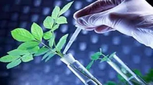 تسریع تولید محصولات گیاهی با کاهش زمان طول دوره‌ رشد