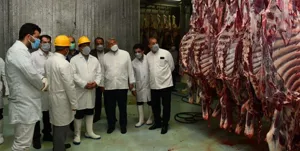 کشتار روزانه 930 راس دام سنگین و سبک در کشتارگاه تبریز/ تولید مواد آرایشی از امعا و احشا دام