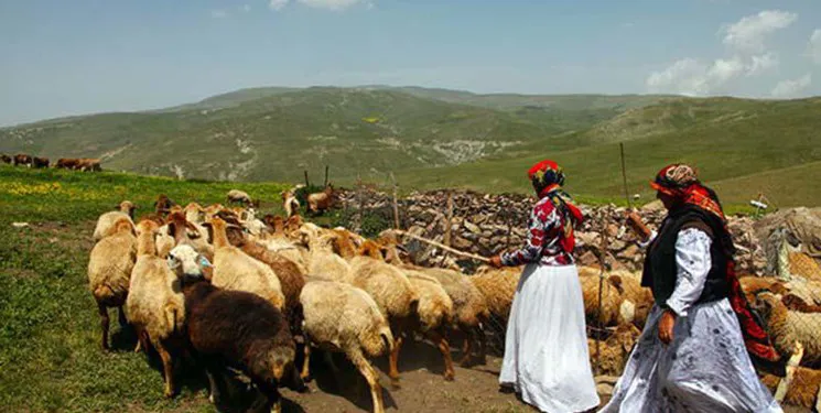 بازگشت عشایر سهند به قشلاق‌های آذربایجان‌شرقی و غربی