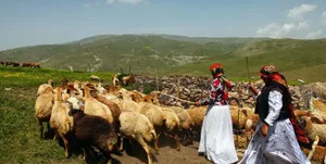 بازگشت عشایر سهند به قشلاق‌های آذربایجان‌شرقی و غربی