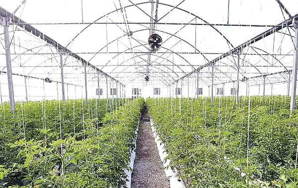 شهرک گلخانه‌ای هوراند در اختیار سرمایه‌گذاران بخش کشاورزی قرار می‌گیرد